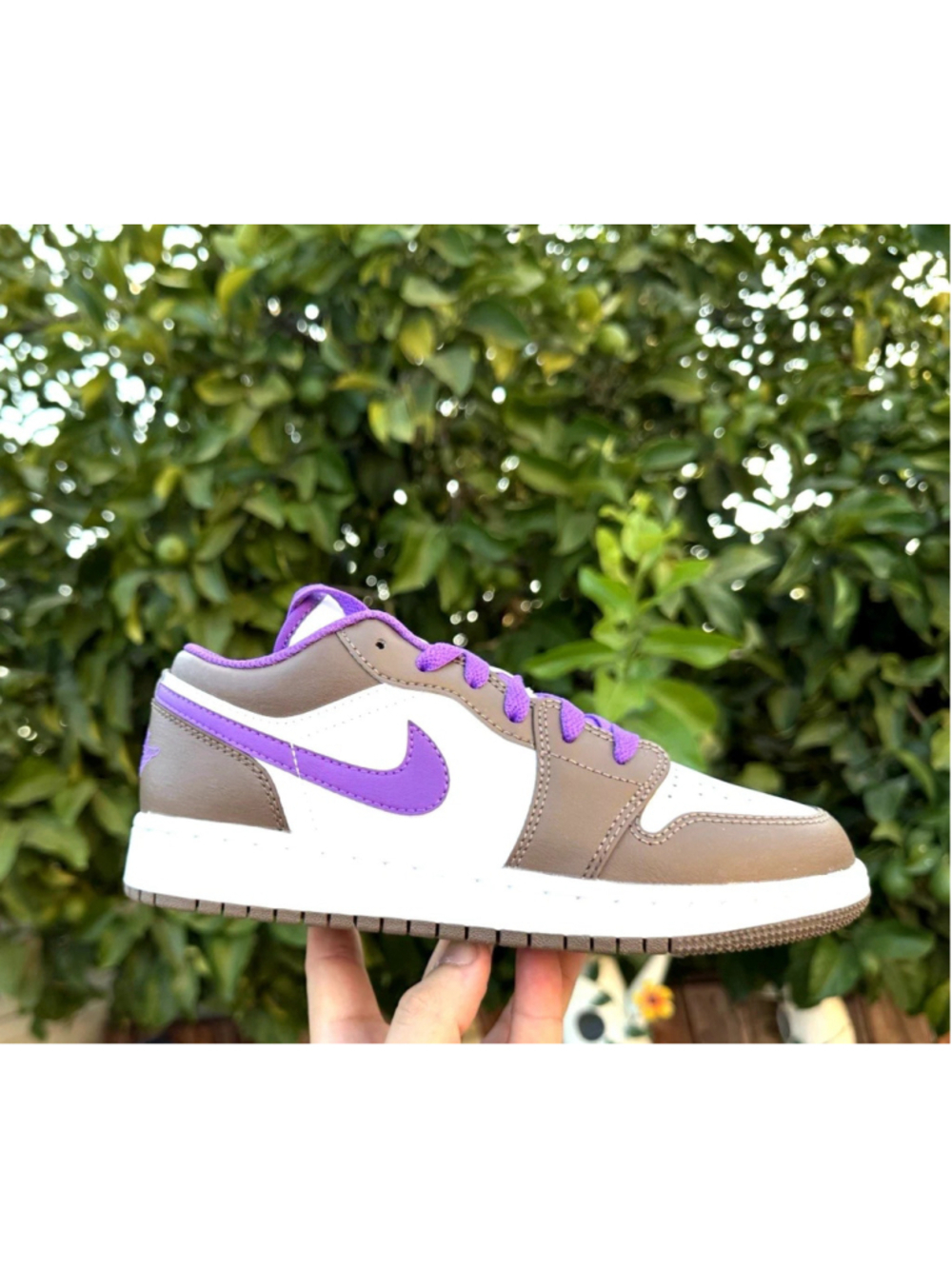 Air Jordan 1 - Palomino GS 553560215